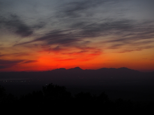 Foto Laut pohon cakrawala gunung