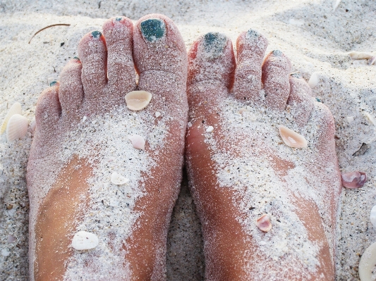 Hand beach sea nature Photo