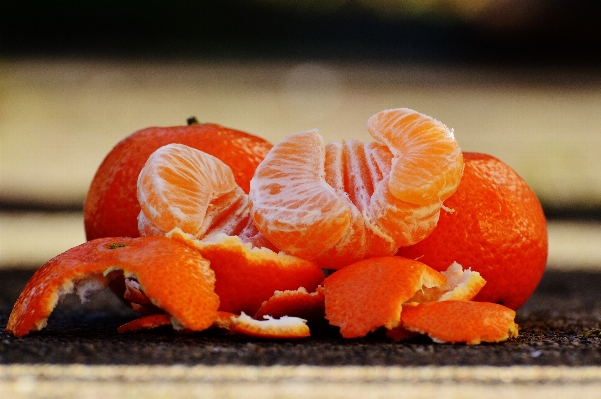 Plant fruit sweet orange Photo