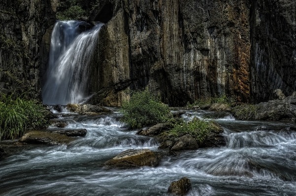 Landscape water nature forest Photo