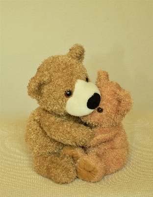 Cute bear love fur Photo