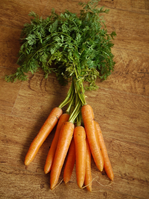 食物 草本植物 生产 蔬菜