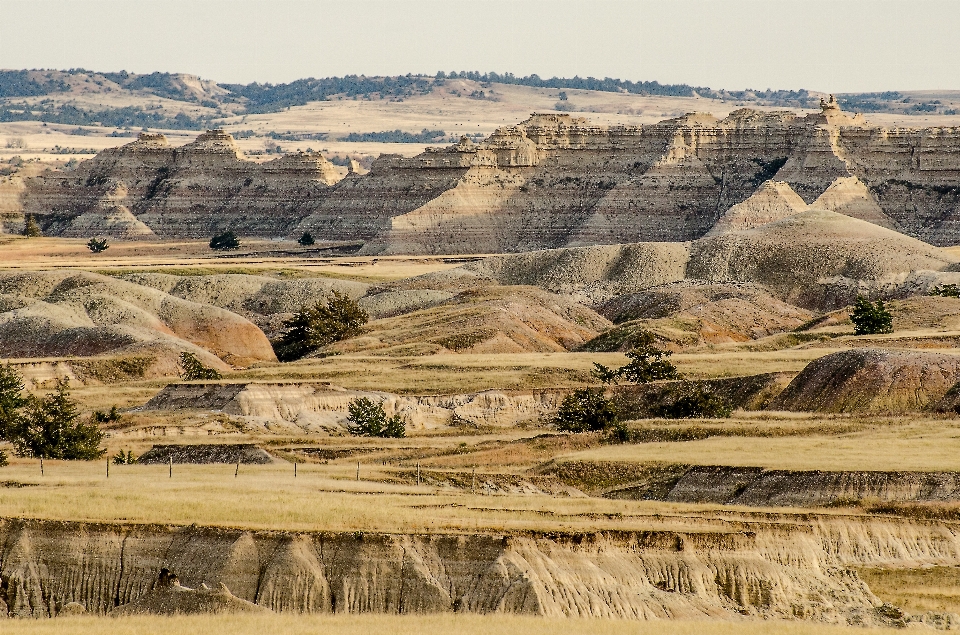 Landscape nature rock field