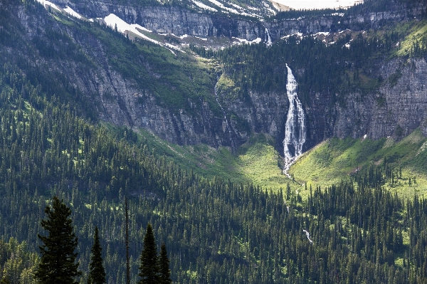 Landscape tree forest waterfall Photo