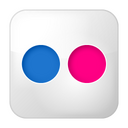 Flickr Icon