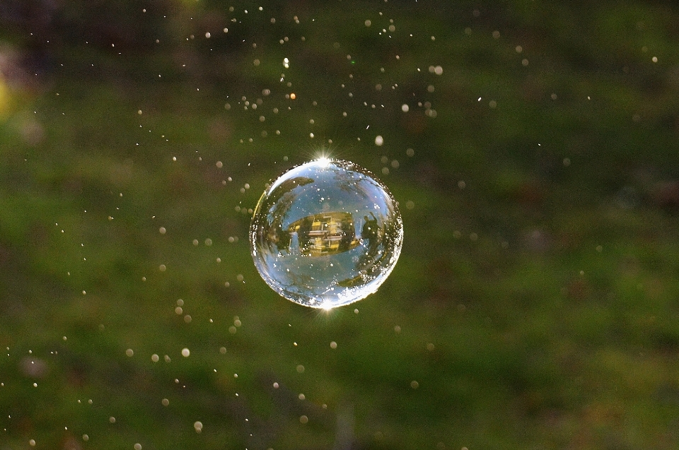 水 自然 草 落とす