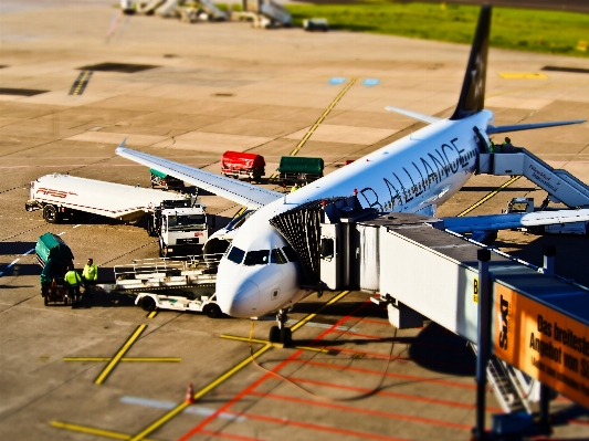 Flügel fliege flughafen reisen Foto