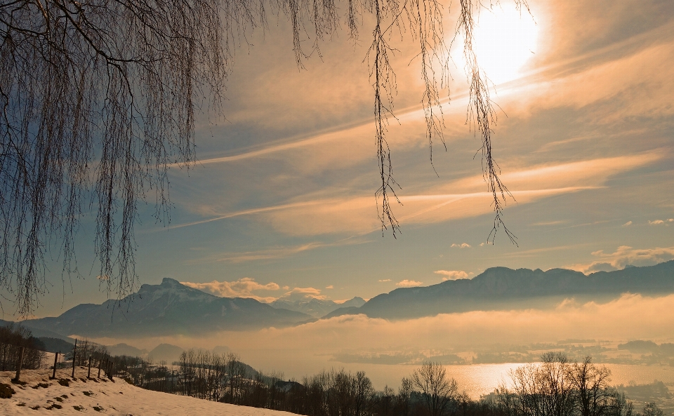 Paysage arbre eau nature