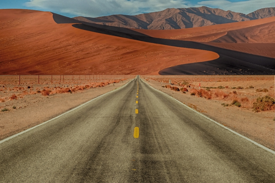 Landscape path sand wilderness