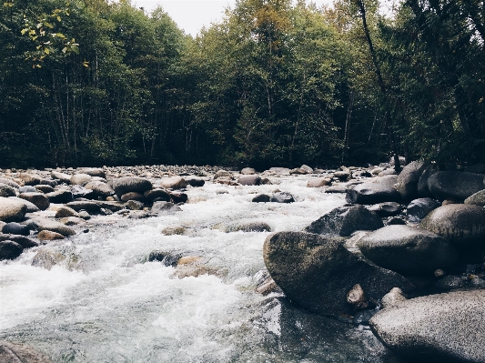 Water nature forest outdoor Photo