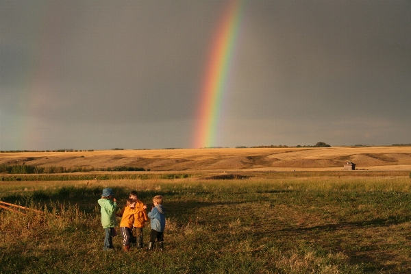 Horizon field meadow prairie Photo