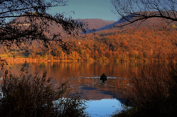 Landscape tree water nature Photo