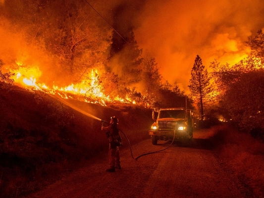 Foto água floresta região selvagem
 estrada