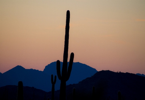 Landscape nature horizon silhouette Photo