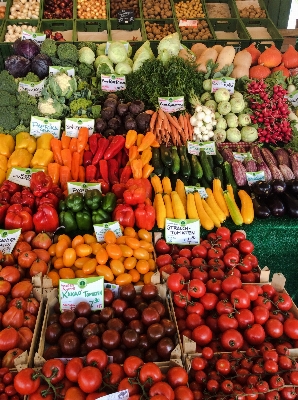 City food mediterranean vendor Photo