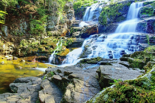 風景 水 自然 森 写真