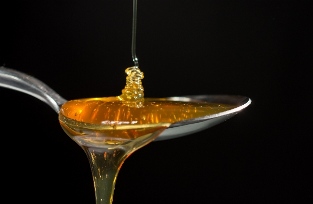 Glass honey food drink Photo