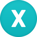 X Icon