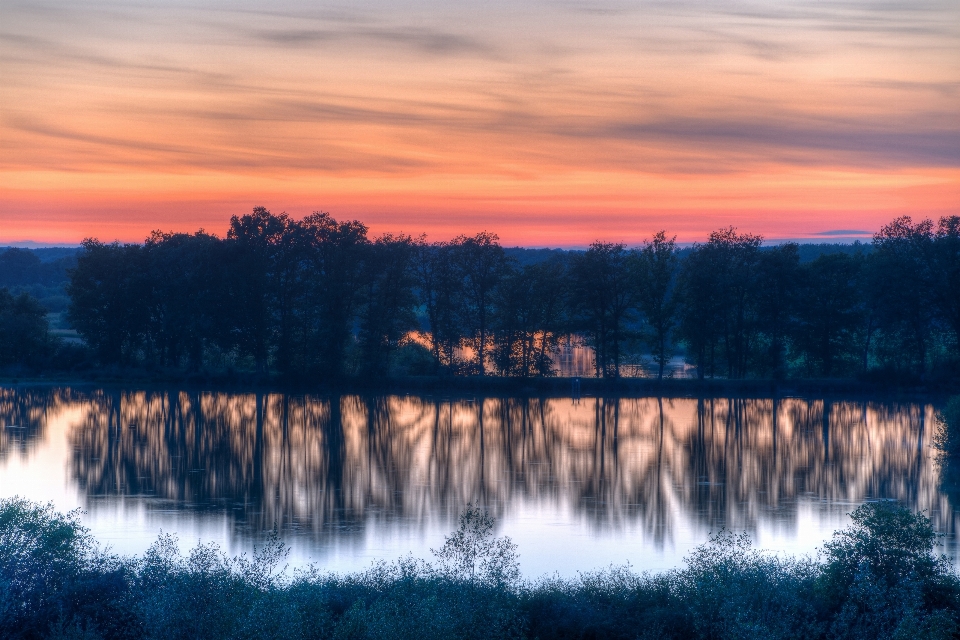 Landschaft baum wasser natur