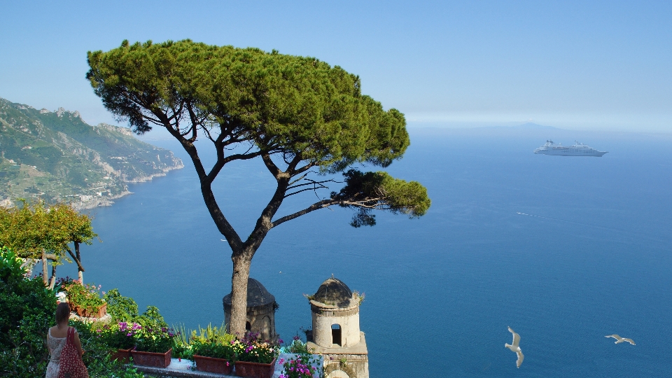 Sea coast tree horizon