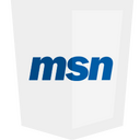 Msn Icon