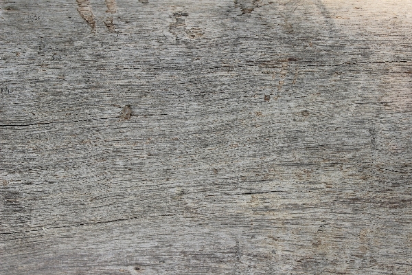 Rock wood texture plank Photo