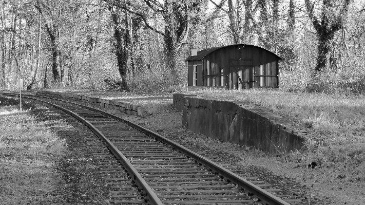 Photo Noir et blanc
 piste transport sauvage