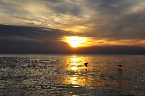 ビーチ 海 海岸 水 写真