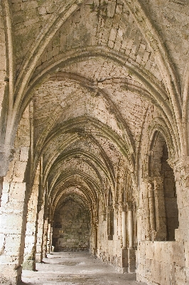 Architecture building arch cathedral Photo