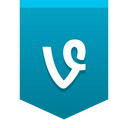 Vine Icon