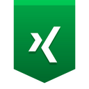 Xing Icon