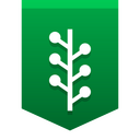 Newsvine Icon