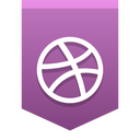 Dribbble Icon