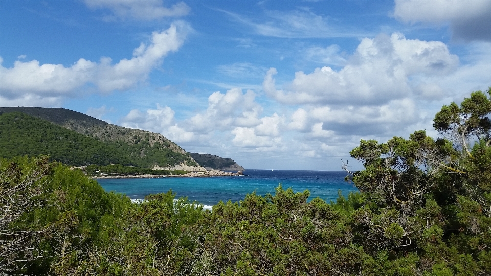 Plage paysage mer côte