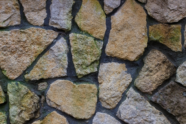 Rock 建築 木 家 写真