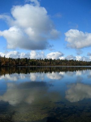 Landscape sea tree water Photo