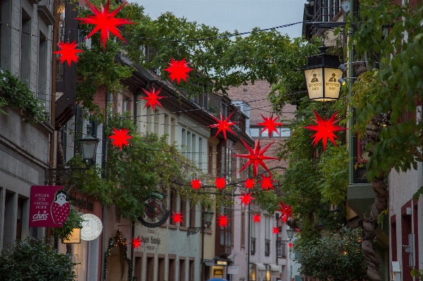 道 街 花 レストラン 写真