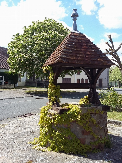 Paisagem água jardim têmpora