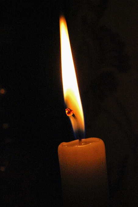 Lumière nuit flamme feu