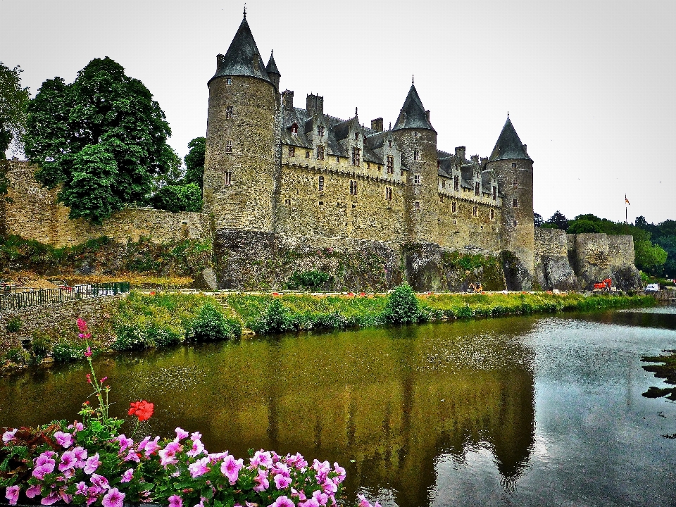 Architecture fleur bâtiment château
