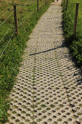 Grass structure track lawn Photo