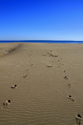 Foto Pantai laut pesisir air