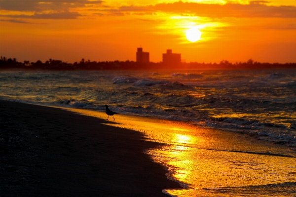 Beach landscape sea coast Photo