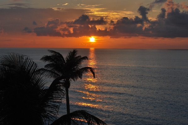 Beach sea coast ocean Photo