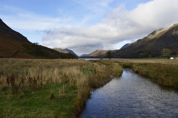 Landscape nature grass wilderness Photo