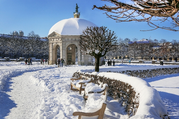 Snow winter walk weather Photo