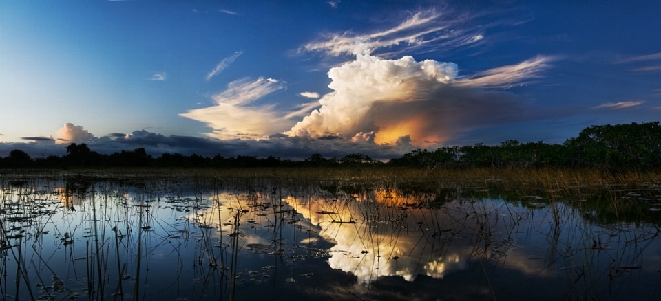 Paesaggio acqua natura orizzonte