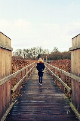 Nature person cold boardwalk Photo