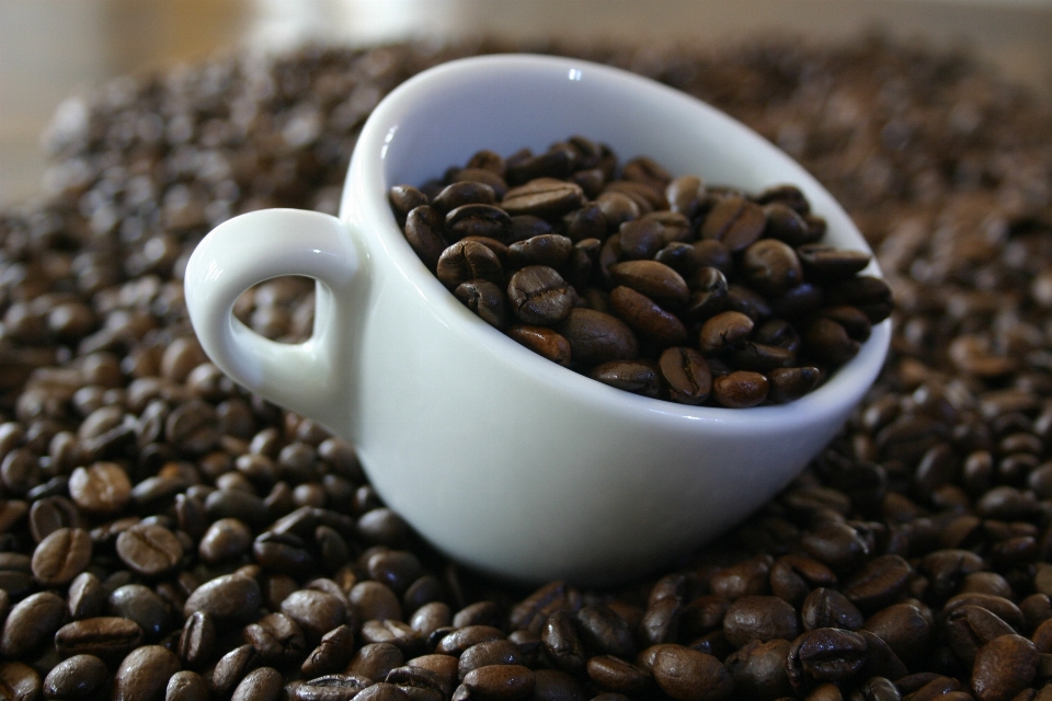 Kaffee bohne tasse produzieren