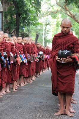 Person people monk buddhist Photo